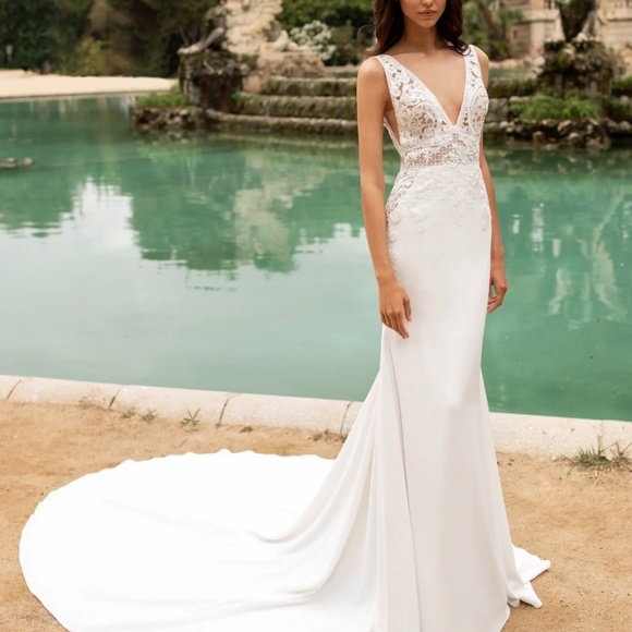 Pronovias Wedding Dress - Picture 11 of 13